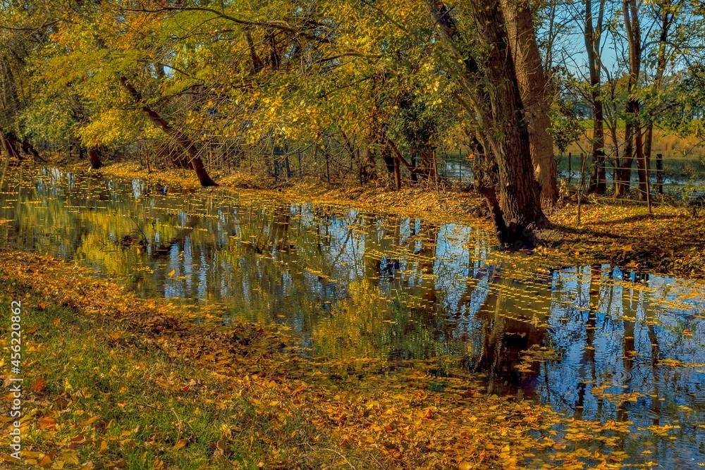 Obraz premium Paisajes