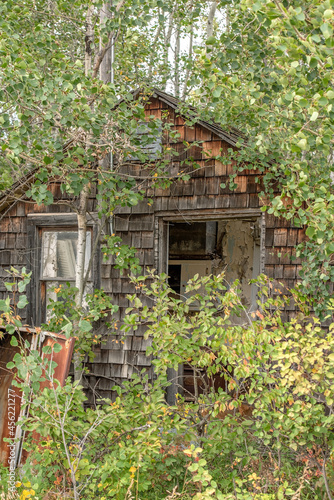 Old abandoned house in the forest in rural Saskatchewan, Canada.  The house is missing its door and is dilapidated.  It is almost lost in the overgrowth of trees.