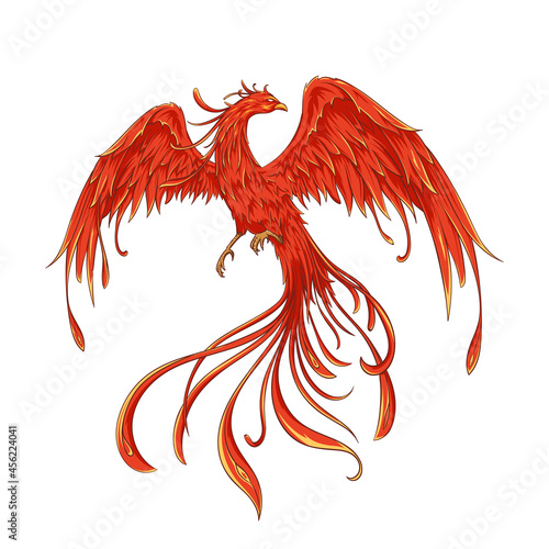 Elegant flying phoenix vector illustration