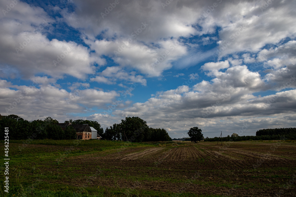Obraz premium usual common Latvian countryside landscape in summer. Harvested agricultural field, some trees, forest, blue sky with fluffy soft white clouds. Village house in tree shelter