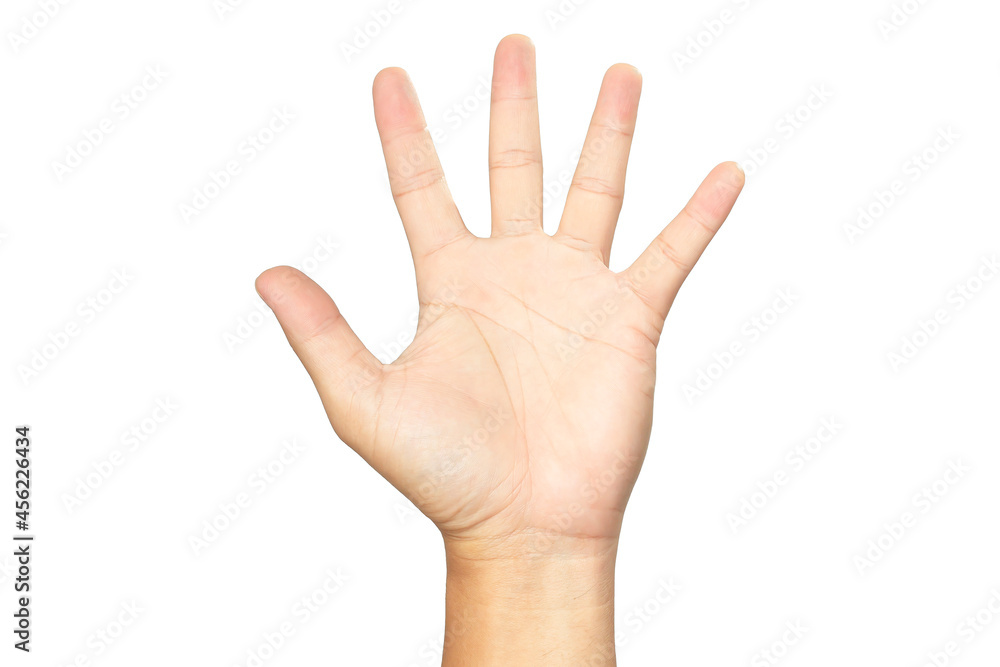 Portrait hand empty of an Asian clenched symbol or icons of stop cancel or hand up on a white background with clipping path. Portrait hand empty of an Asian clenched symbol or icons of stop cancel or hand up on a white background with clipping path.