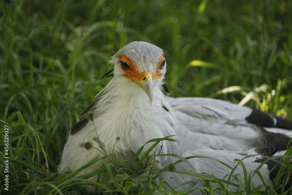 Sekretär Sekretär