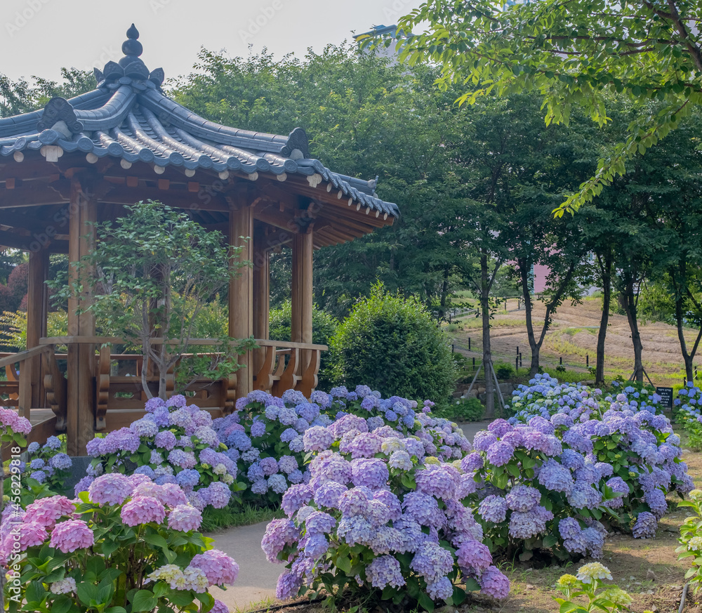 Korean garden in spring Korean garden in spring