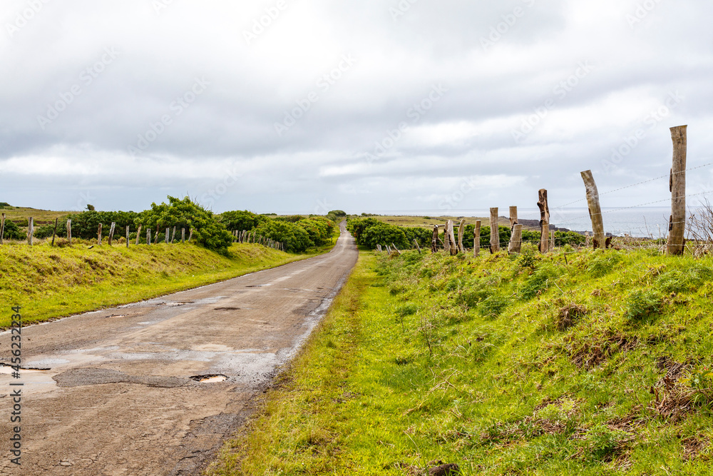 Fototapeta premium Easter Island (Rapa Nui or Isla de Pascua) landscape with meadows, Chile
