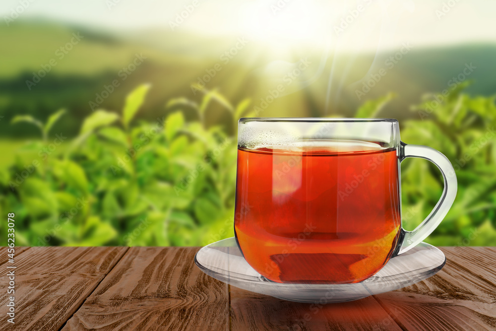 Cup of hot freshly brewed rooibos tea on wooden table outdoors Cup of hot freshly brewed rooibos tea on wooden table outdoors