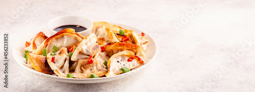 Fried dumplings served with green onions.