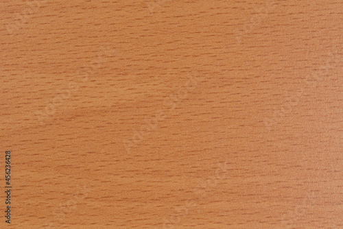 texturas de madera de haya color miel claro  photo