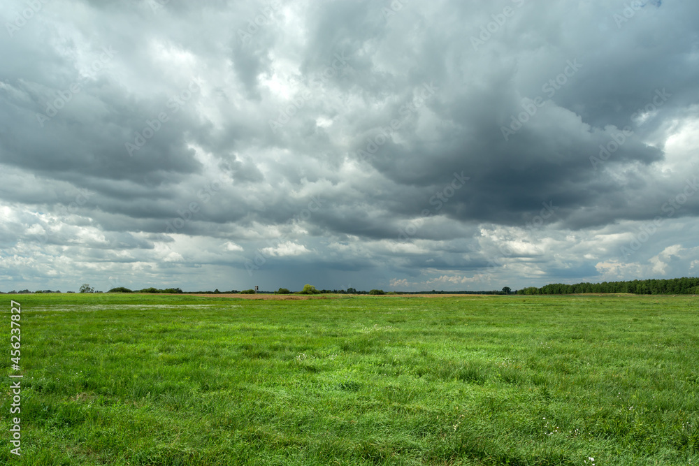 Green large meadow and cloudy sky, summer day Green large meadow and cloudy sky, summer day