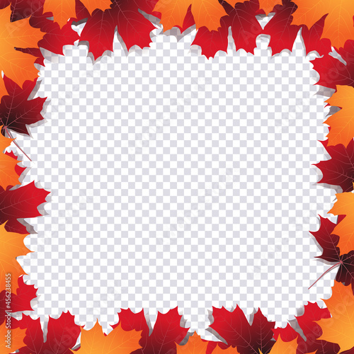Frame made from autumn leaves. Maple leaf frame. Vector blank frame on transparent background.