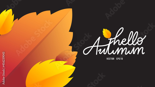 Hello autumn hand drawing calligraphy with leaf Autumn frame , for content online or web, banner and template, Simple cartoon flat style. illustration Vector EPS 10