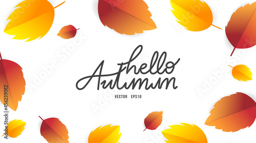 Hello autumn hand drawing calligraphy with leaf Autumn frame , for content online or web, banner and template, Simple cartoon flat style. illustration Vector EPS 10