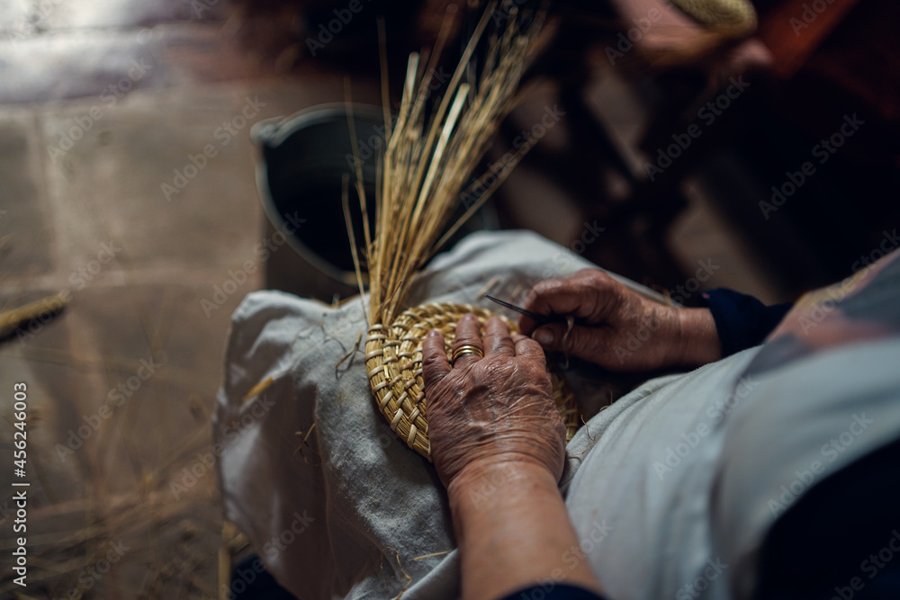 hands of an elderly woman working on ears of corn