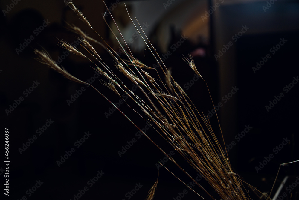 bunch of ears of straw