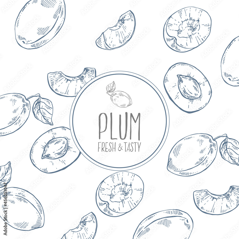 Hand drawn vector blue plum fruit illustration Hand drawn vector blue plum fruit illustration