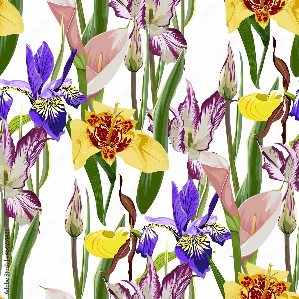 Seamless pattern with hand drawn yellow tigridia, tulips and irys flowers on white background. - obrazy, fototapety, plakaty 