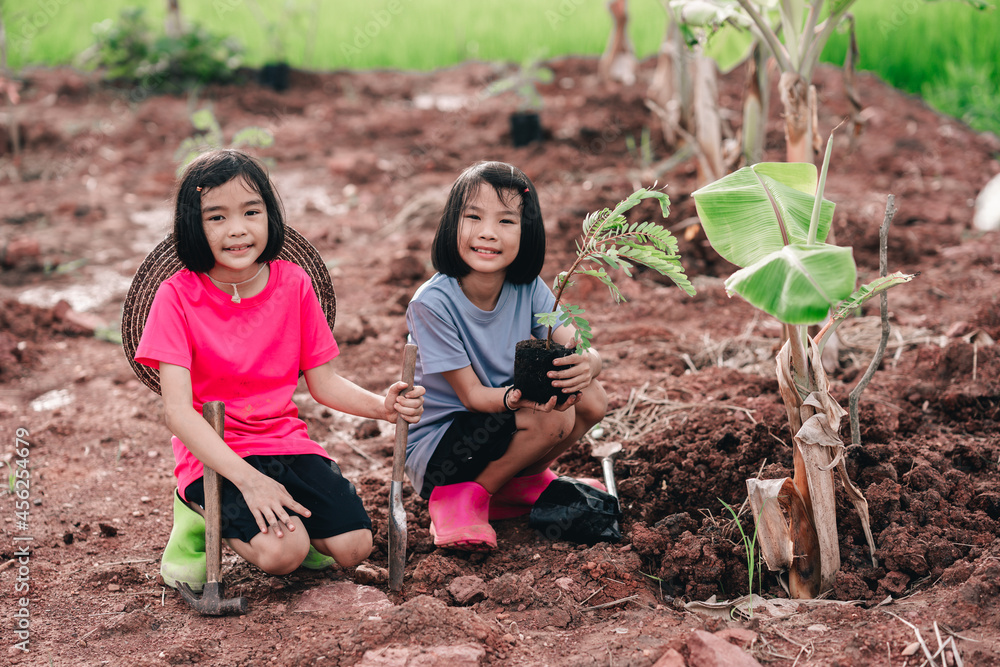 Children and family planting organic tree in garden background