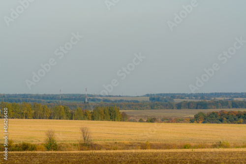 landscape of field and forests