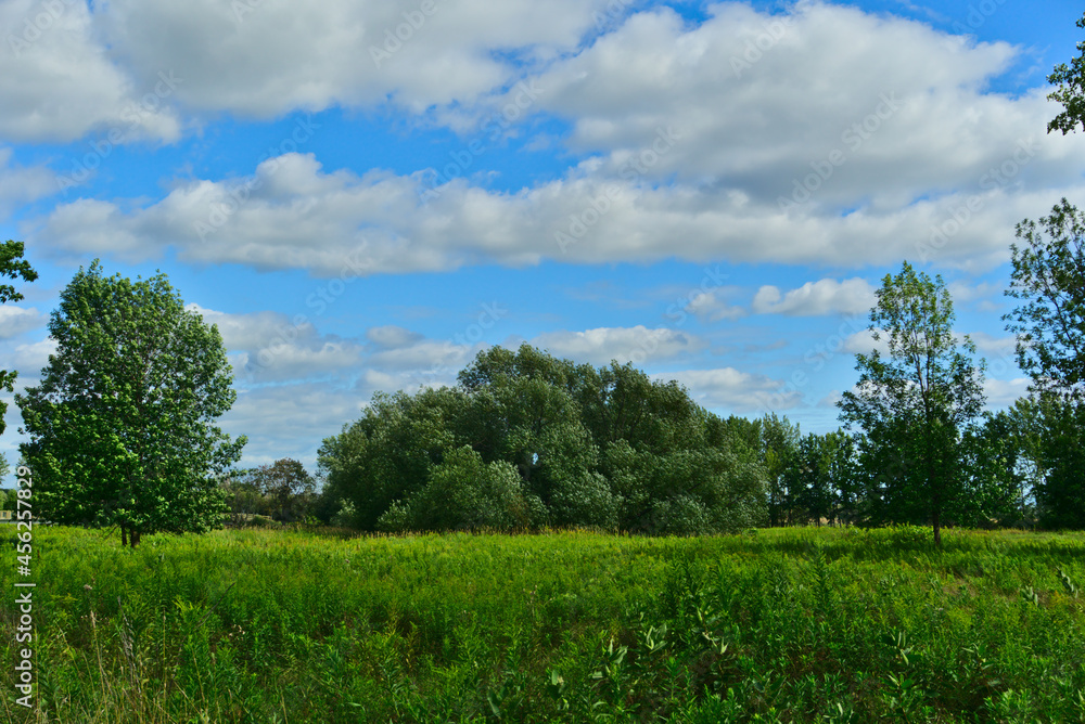Green field in the woods of islands of Boucherville national park, Quebec, with cloudy sky and trees on a summer day Green field in the woods of islands of Boucherville national park, Quebec, with cloudy sky and trees on a summer day