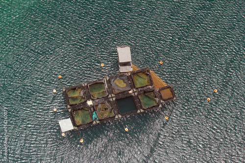 Base offshore de pisciculture dans l'océan Atlantique en Martinique