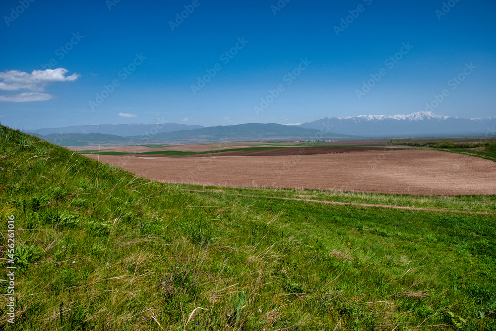 Obraz premium field with blue sky