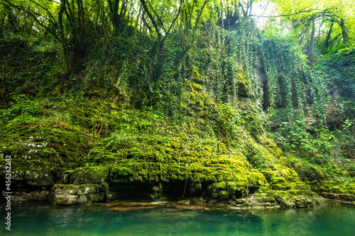 Scenic views of Martvili Canyon in Georgia perfect for boat cayaking tours