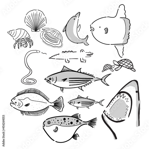 vector drawing graphic element of fish and animals in black and white icon. minimal illustration ocean theme art set.