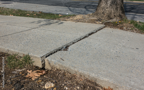 Fotografia Uneven sidewalk and crack caused by growing tree roots, an urban issue causing people tripping and injuring selves