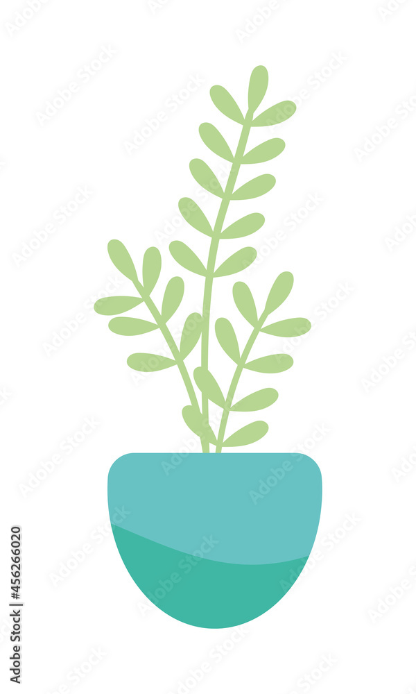 Fototapeta premium decorative plant in pot