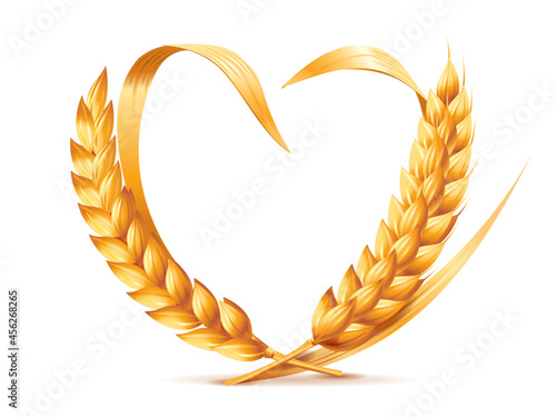 Ripe ears of wheat forming a heart. Vector illustration of two ears of cereals isolated on a white background.