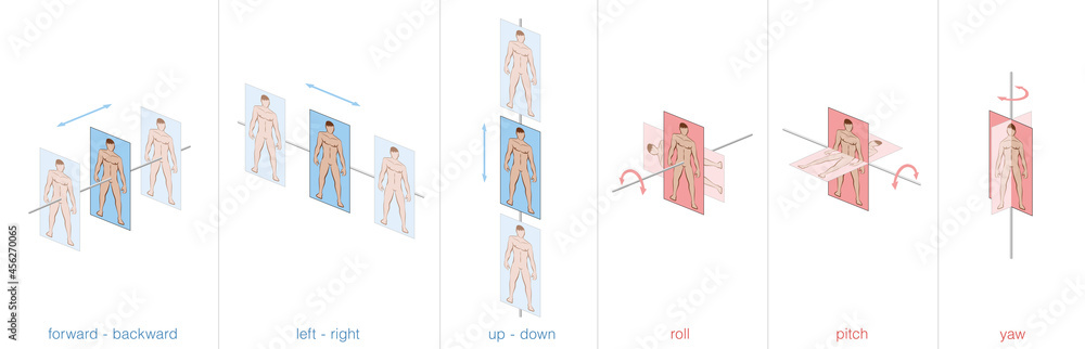 Vetor de Movement possibilities of a human body in 3d space, the six ...