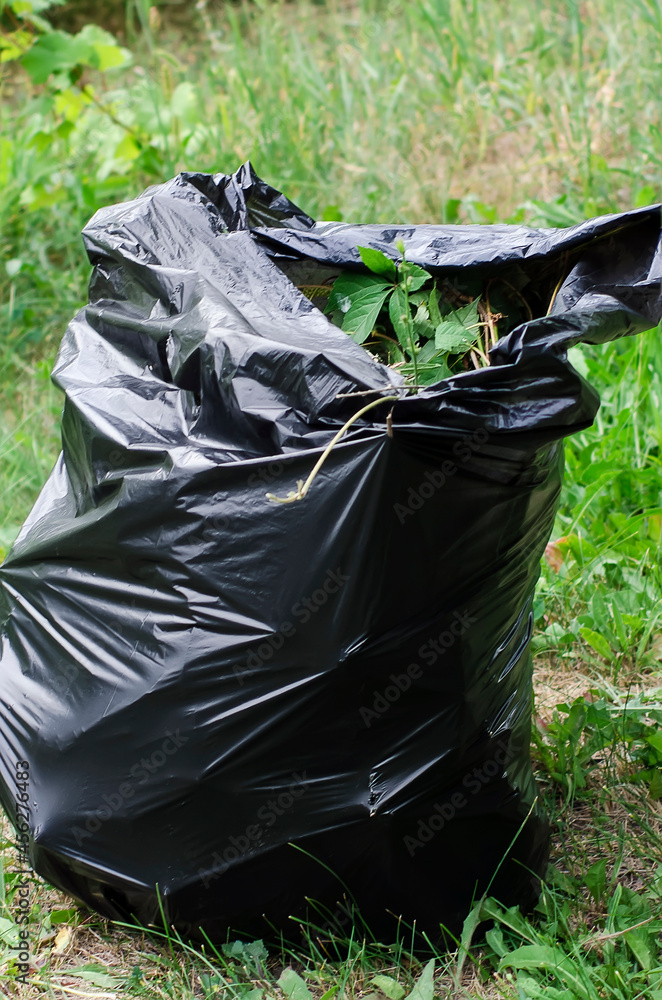 The cut grass is packed in a black plastic bag, close-up. The cut grass is packed in a black plastic bag, close-up.