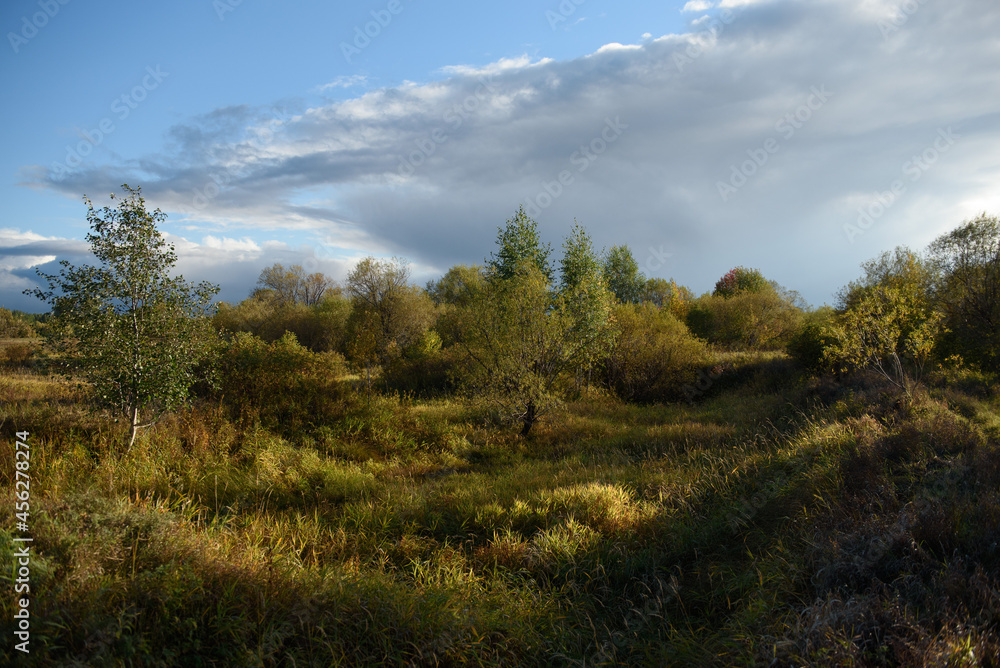 Autumn landscape. A small ravine overgrown with trees and shrubs. Autumn landscape. A small ravine overgrown with trees and shrubs.