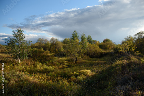 Autumn landscape. A small ravine overgrown with trees and shrubs.