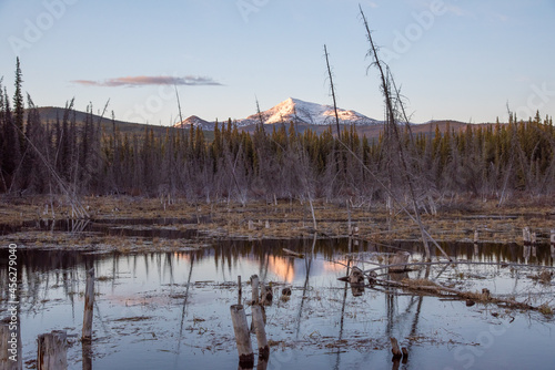 Stunning scenery in northern Canada during spring time with snow capped mountains and healthy  green boreal forest with calm lake below.