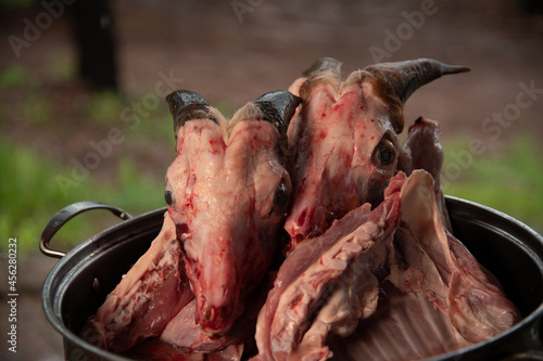 goat head, tasty birria ready to cook in mexico sinaloa photo