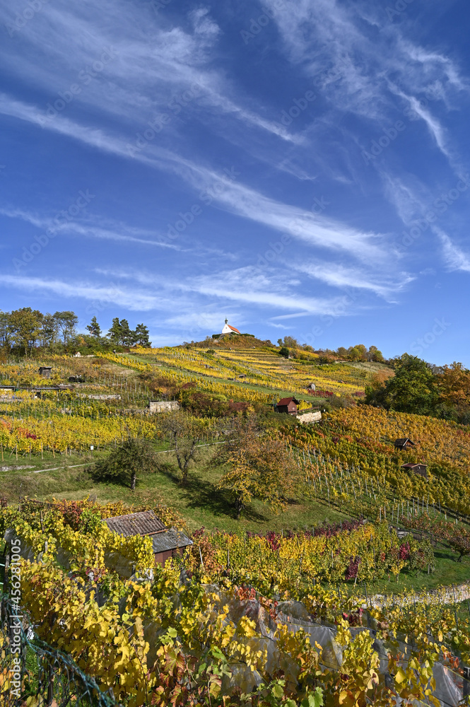 Autumnal scenery showing the St. Remigius Chapel (Wurmlingen Chapel) on the top of a yellow-colored vineyard under a partly-cloudy sky.