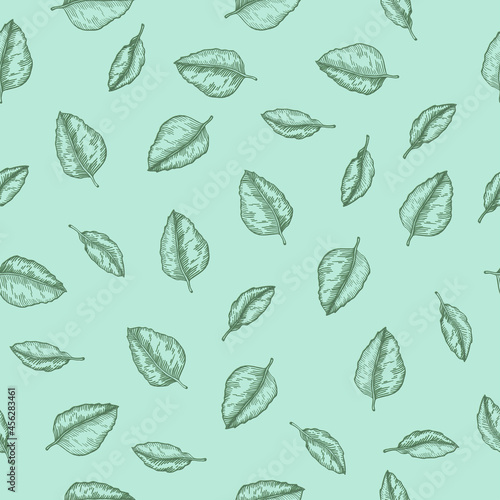 Seamless pattern with hand drawn green tropical leaves vector illustration