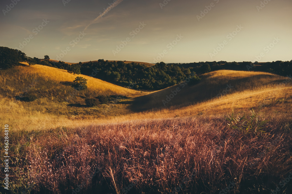 Landscape of Zagajicka Brda, Deliblatska Pescara, Serbia. Sand dunes covered with grass. - obrazy, fototapety, plakaty 