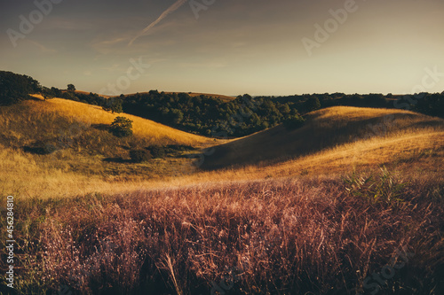 Landscape of Zagajicka Brda, Deliblatska Pescara, Serbia. Sand dunes covered with grass.