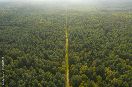 Fototapeta Naklejka Na Ścianę i Meble -  Gruntowa, leśna droga. Widok z drona.