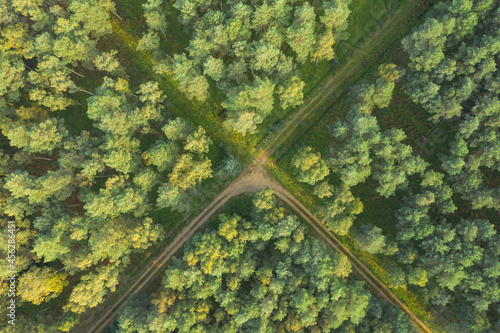 Fototapeta Naklejka Na Ścianę i Meble -  Gruntowa, leśna droga. Widok z drona.