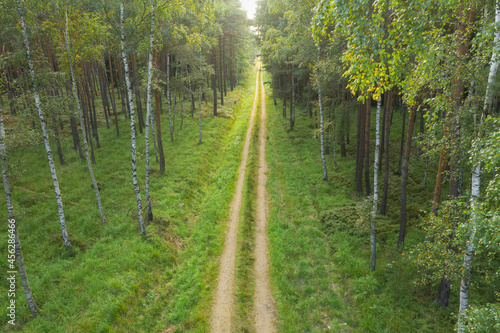Fototapeta Naklejka Na Ścianę i Meble -  Gruntowa, leśna droga. Widok z drona.