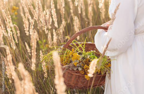 Foto Woman picking herbal flowers