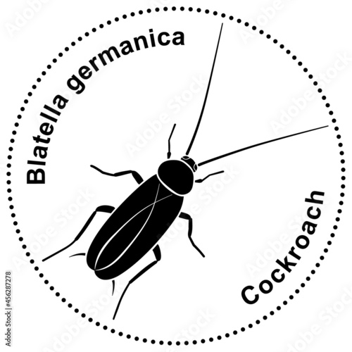 Semiabstract figure of a cockroach Blatella germanica (ID: 456287278)