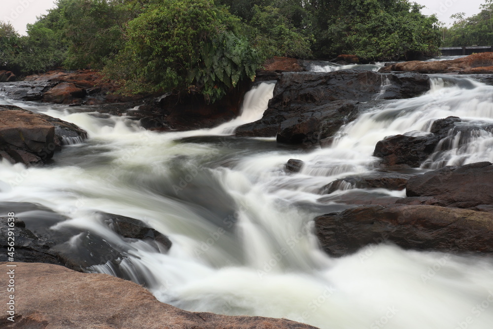 Fototapeta premium waterfall in the forest