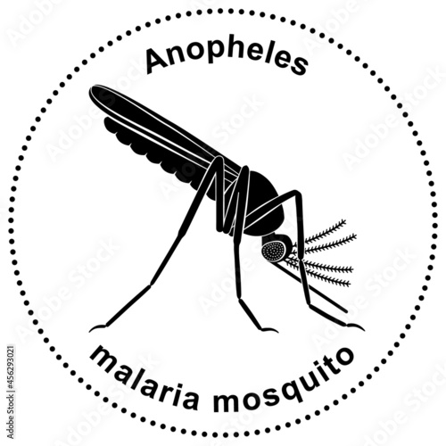Semiabstract figure of a malaria mosquito Anopheles (ID: 456293021)