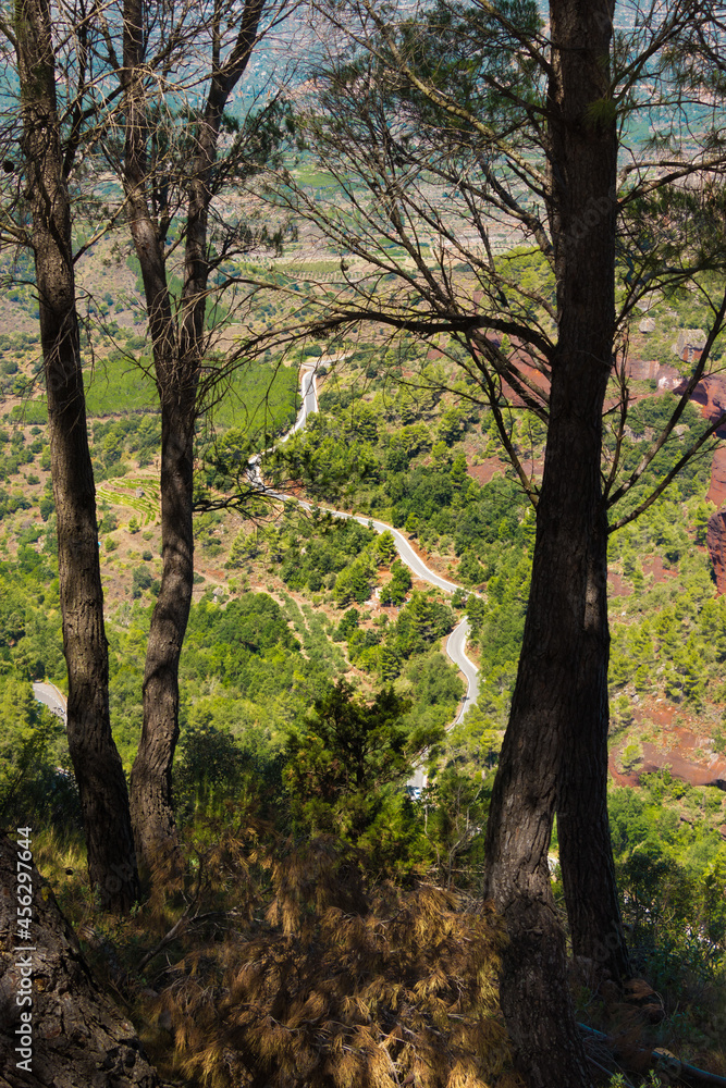 Road between the trees at Siurana, Tarragona, Spain