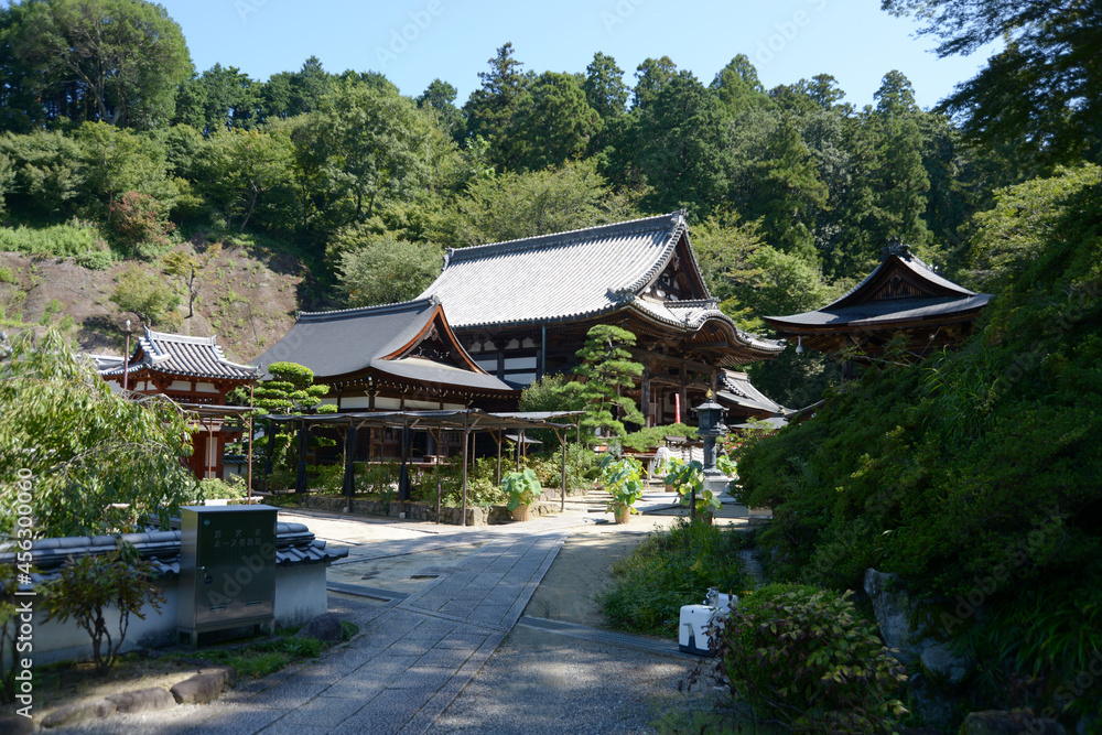 岡寺　境内　奈良県明日香村