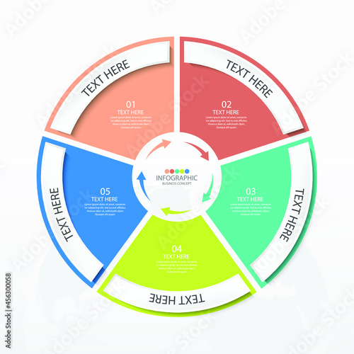 Basic circle infographic template with 5 steps, process or options, process chart.