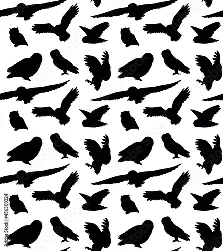 Vector seamless pattern of hand drawn owl silhouette isolated on white background